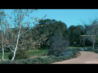 disruptive films - thornbrush bed and breakfast